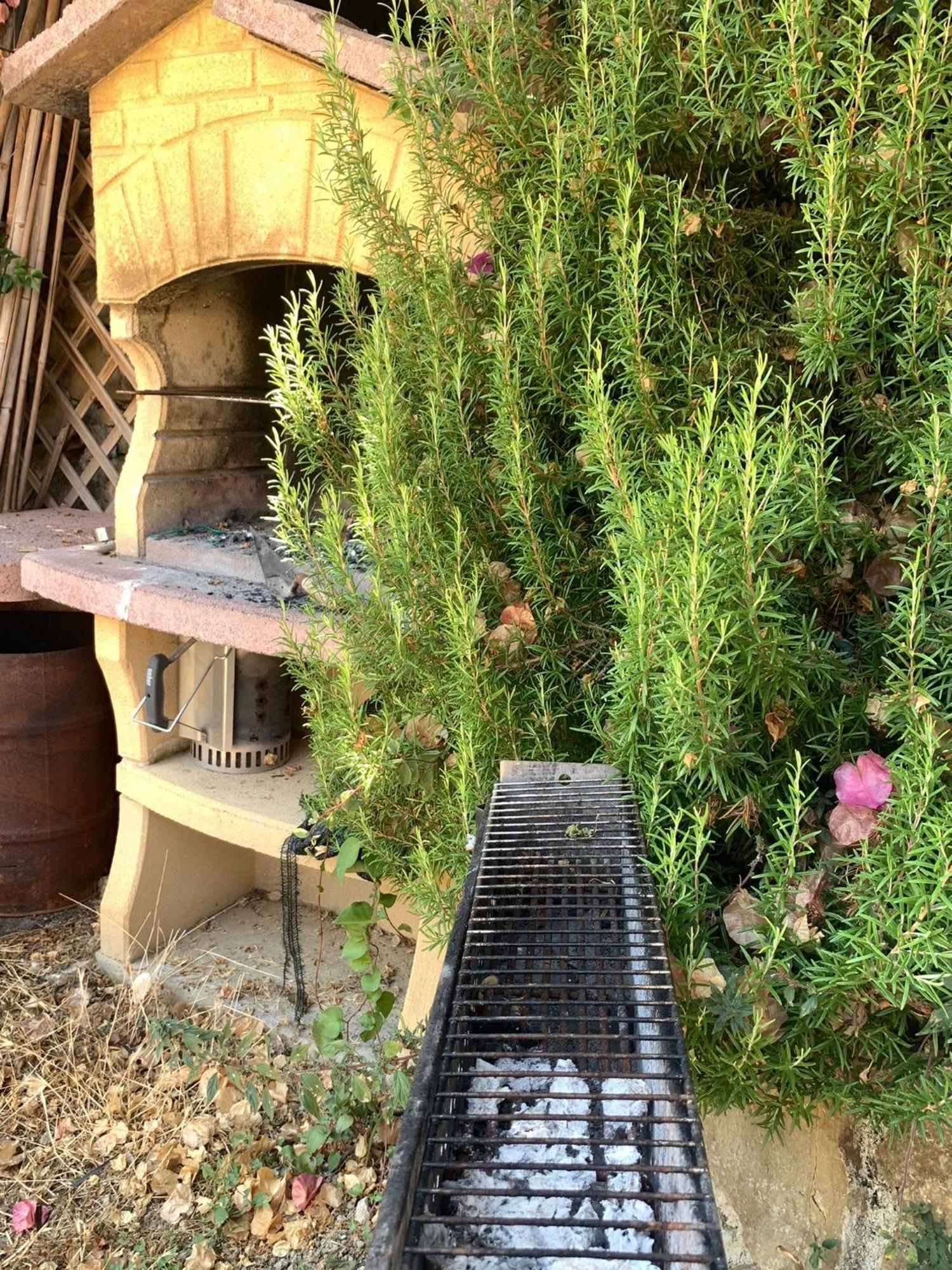 The Sea Flower Appartamento Con Giardino E Garage Auto Incluso Sanremo Exterior photo